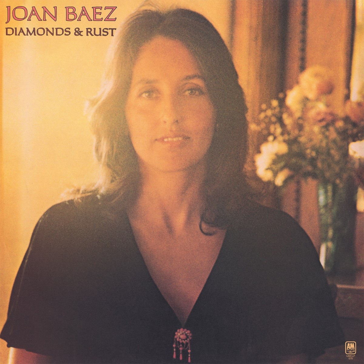 Afbeelding van Joan Baez - Diamonds & Rust