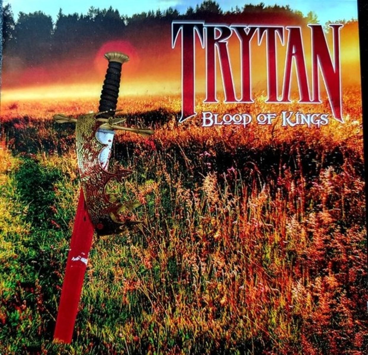 Afbeelding van Trytan - Blood Of Kings