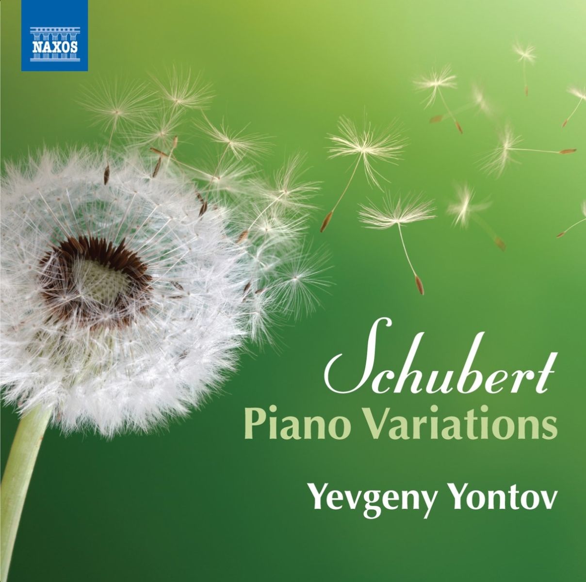 Afbeelding van Yevgeny Yontov - Schubert: Piano Variations