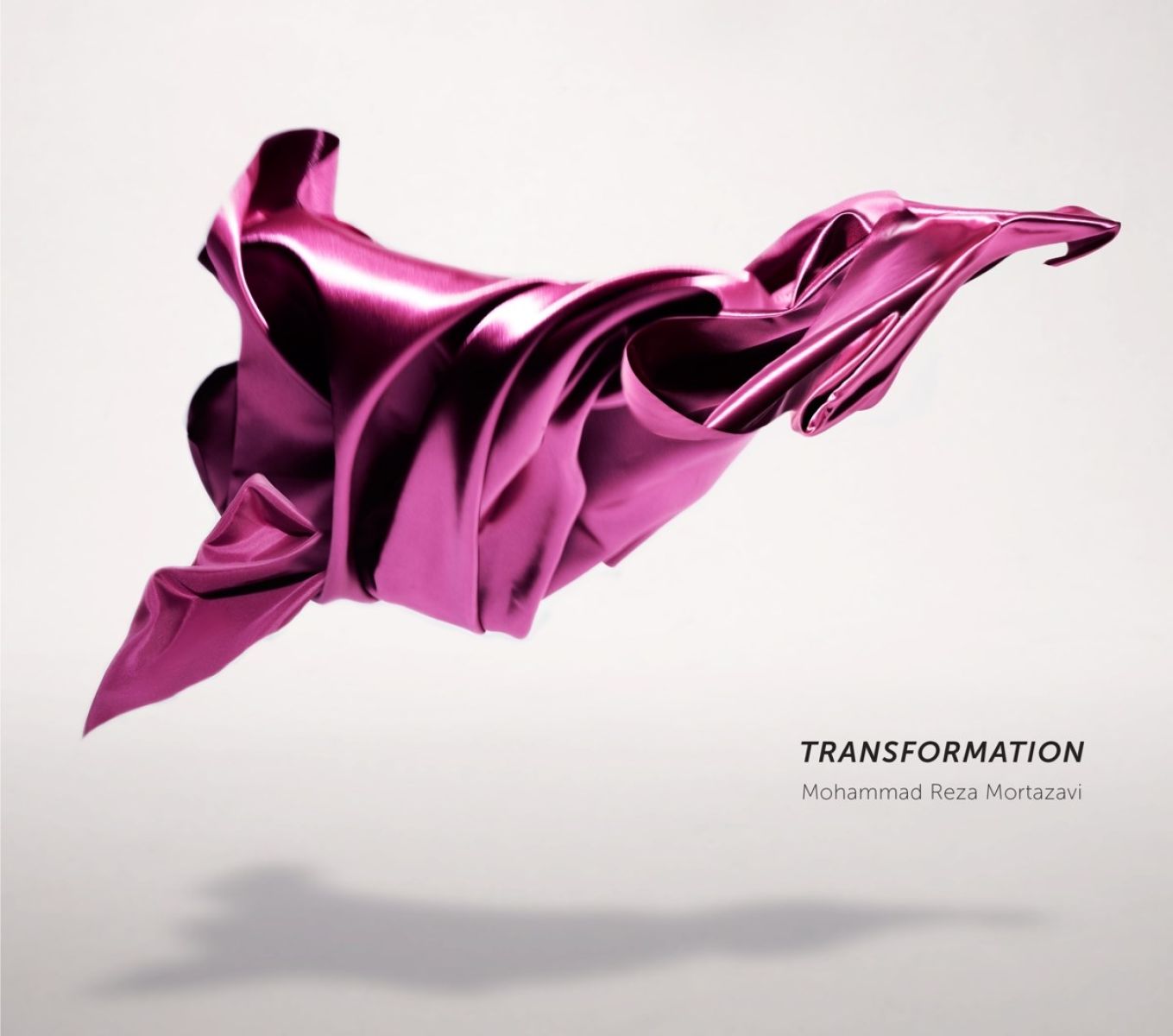 Afbeelding van Mohammad Reza Mortazavi - Transformation
