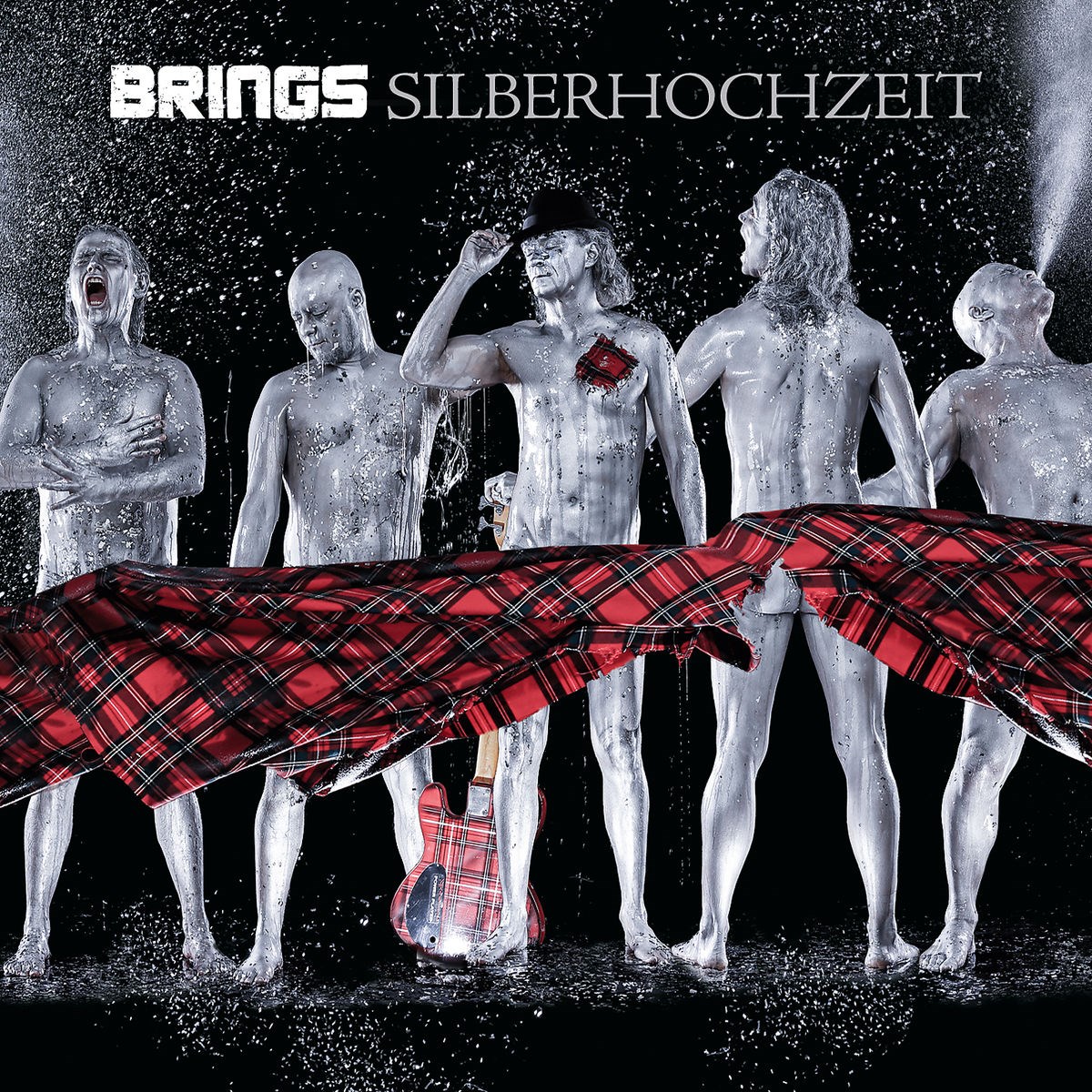 Afbeelding van Silberhochzeit (best Of)