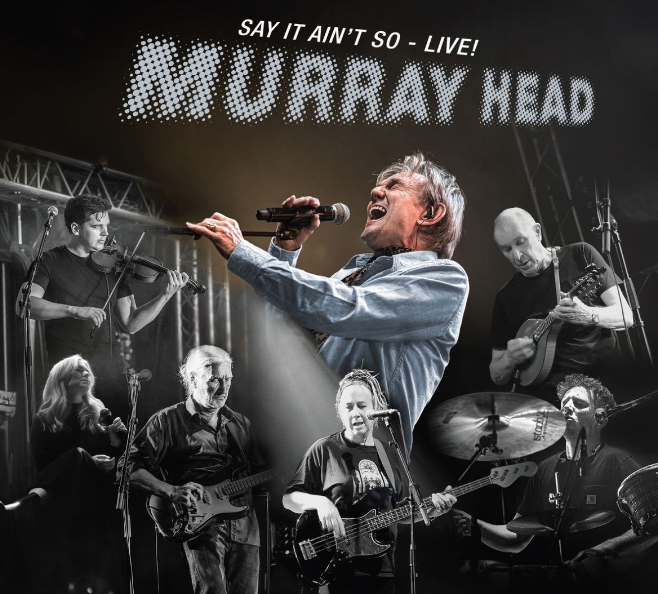Afbeelding van Murray Head - Say It Ain't So (Live)