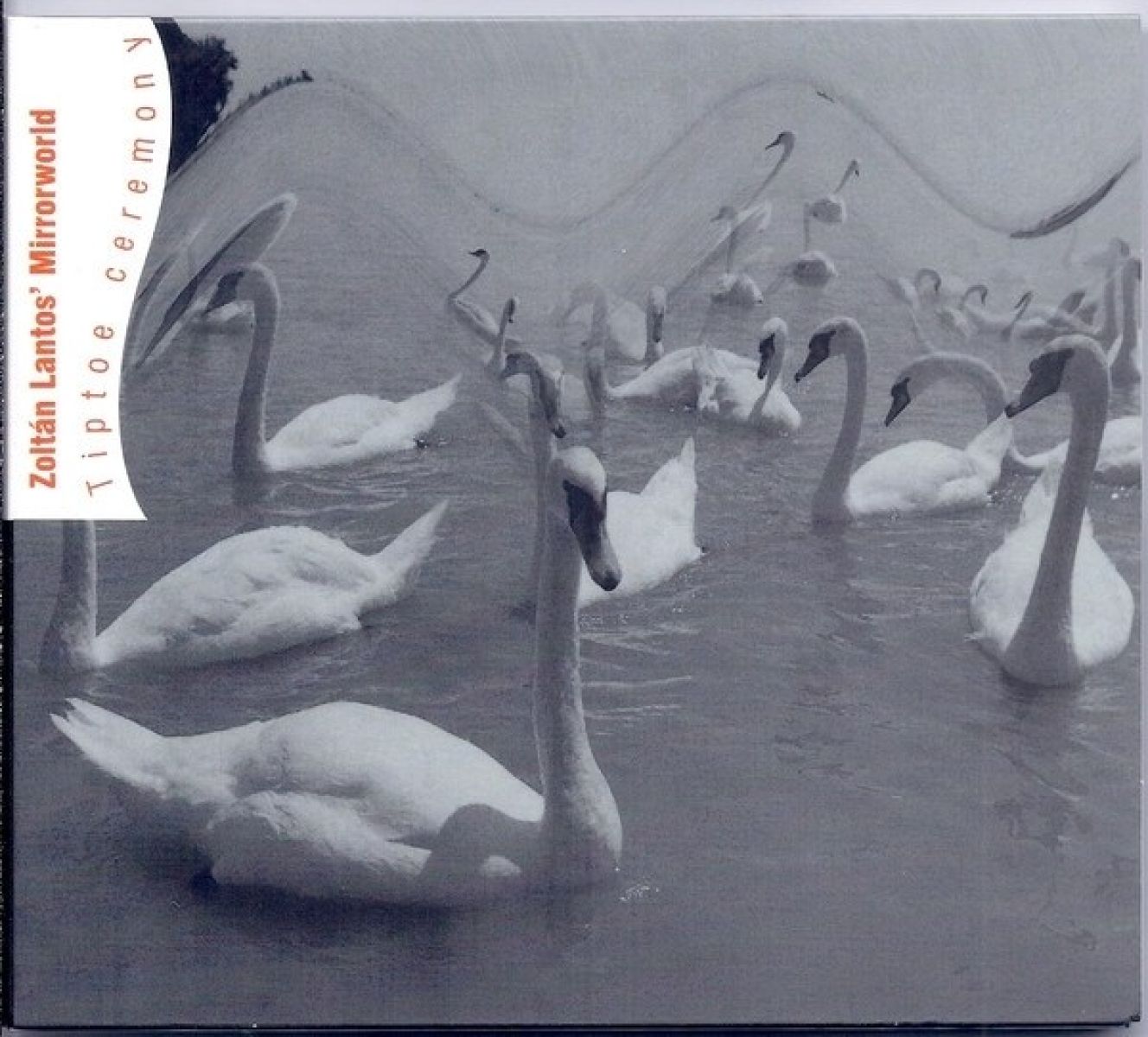 Afbeelding van Zoltán Lantos' Mirrorworld - Tiptoe Ceremony