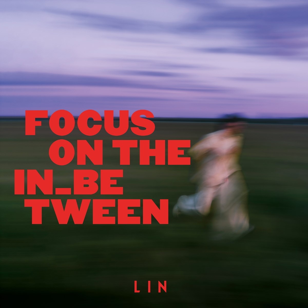 Afbeelding van Lin - Focus On The In_Between