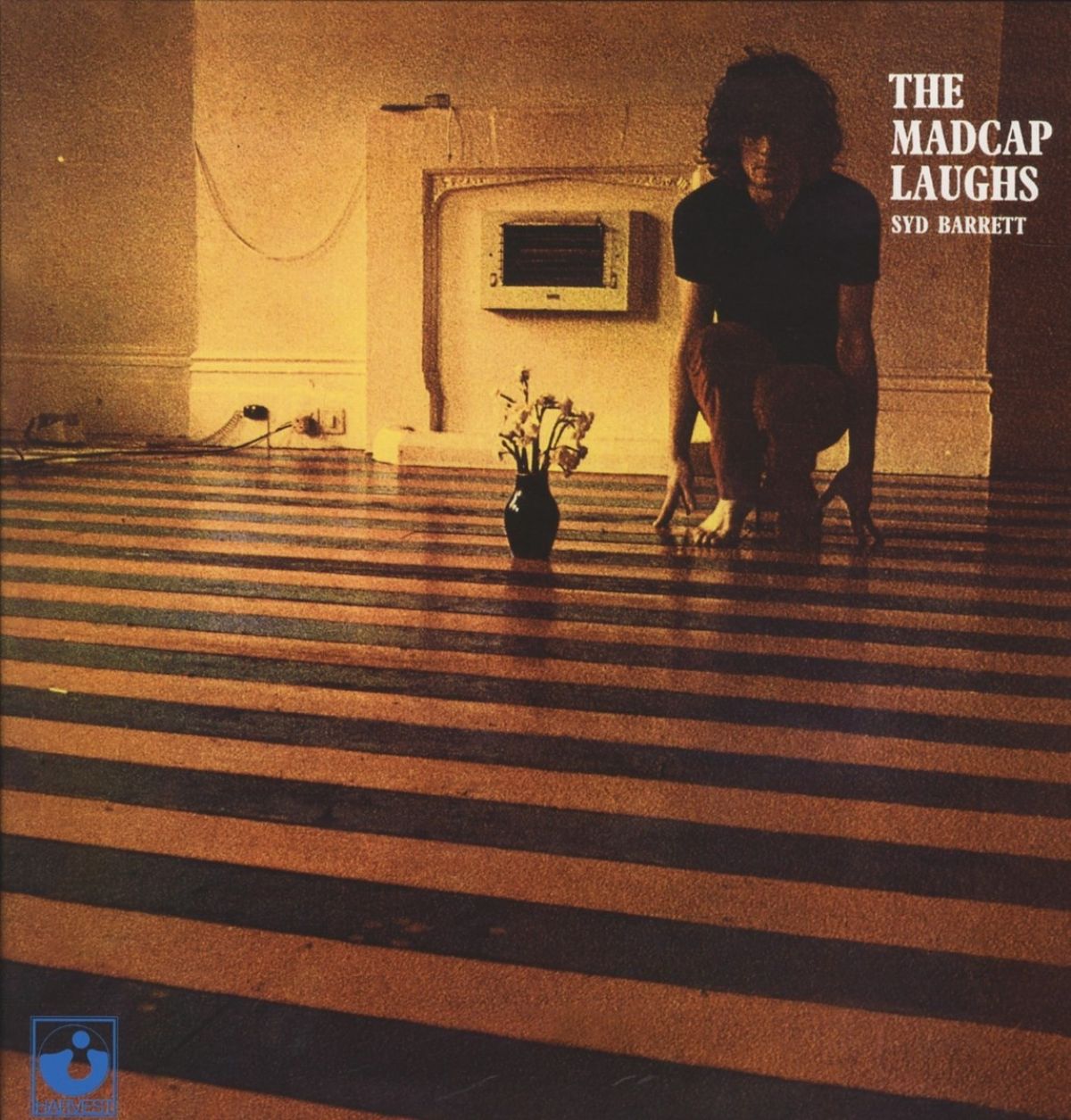 Afbeelding van Syd Barrett - The Madcap Laughs