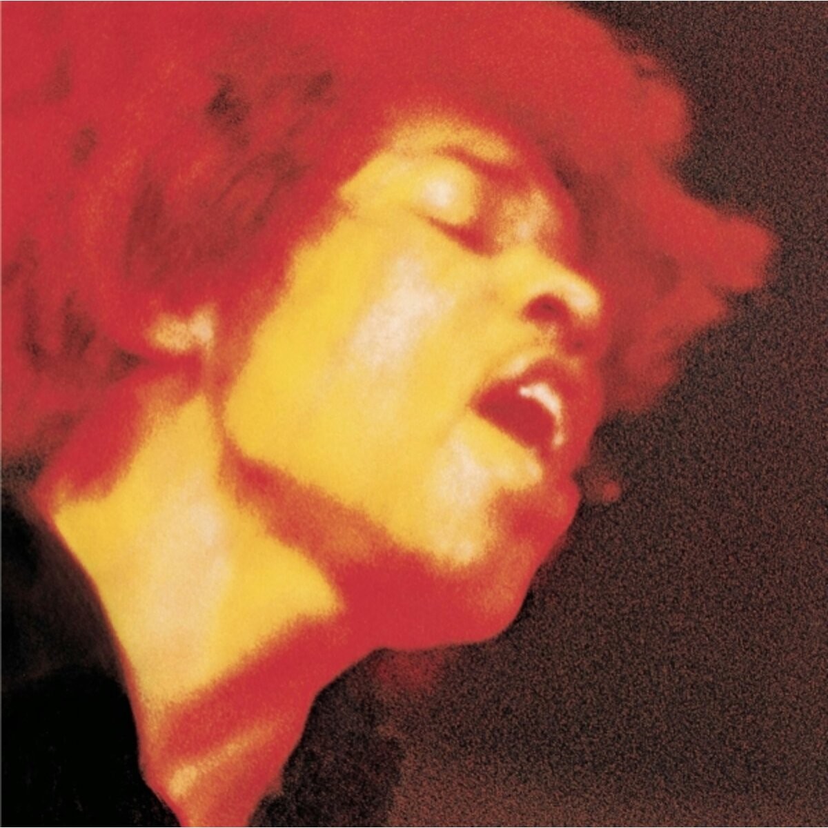 Afbeelding van The Jimi Hendrix Experience - Electric Ladyland