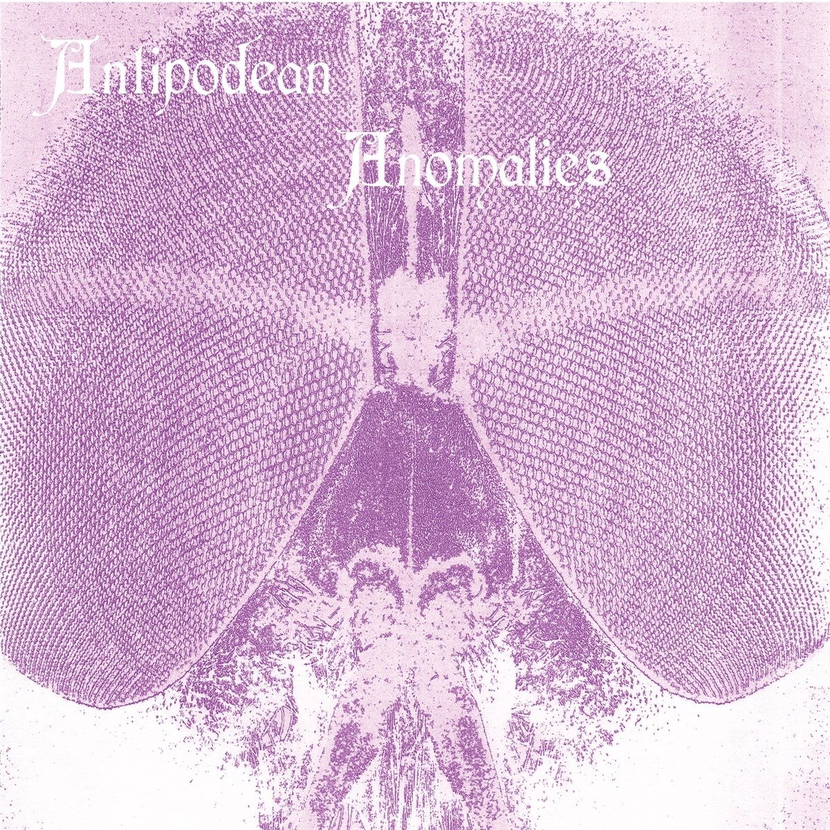 Afbeelding van Various Artists - Antipodean Anomalies