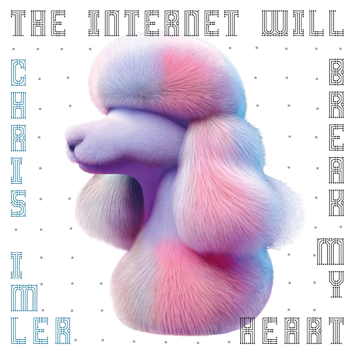 Afbeelding van Chris Imler - The Internet Will Break My Heart