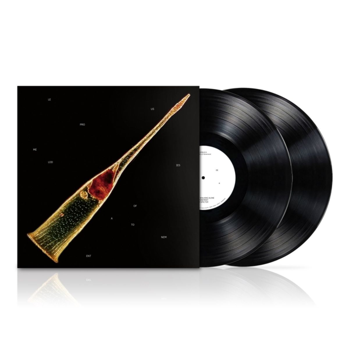 Afbeelding van Leprous - Melodies Of Atonement