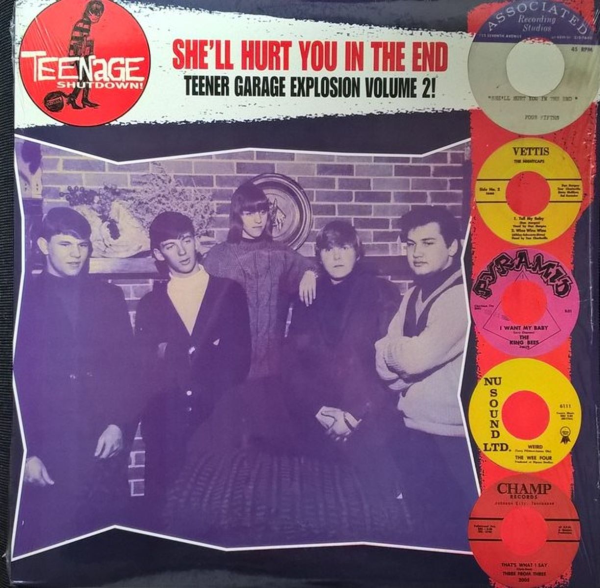Afbeelding van Various Artists - She'll Hurt You In The End (Teener Garage Explosion Volume 2!)