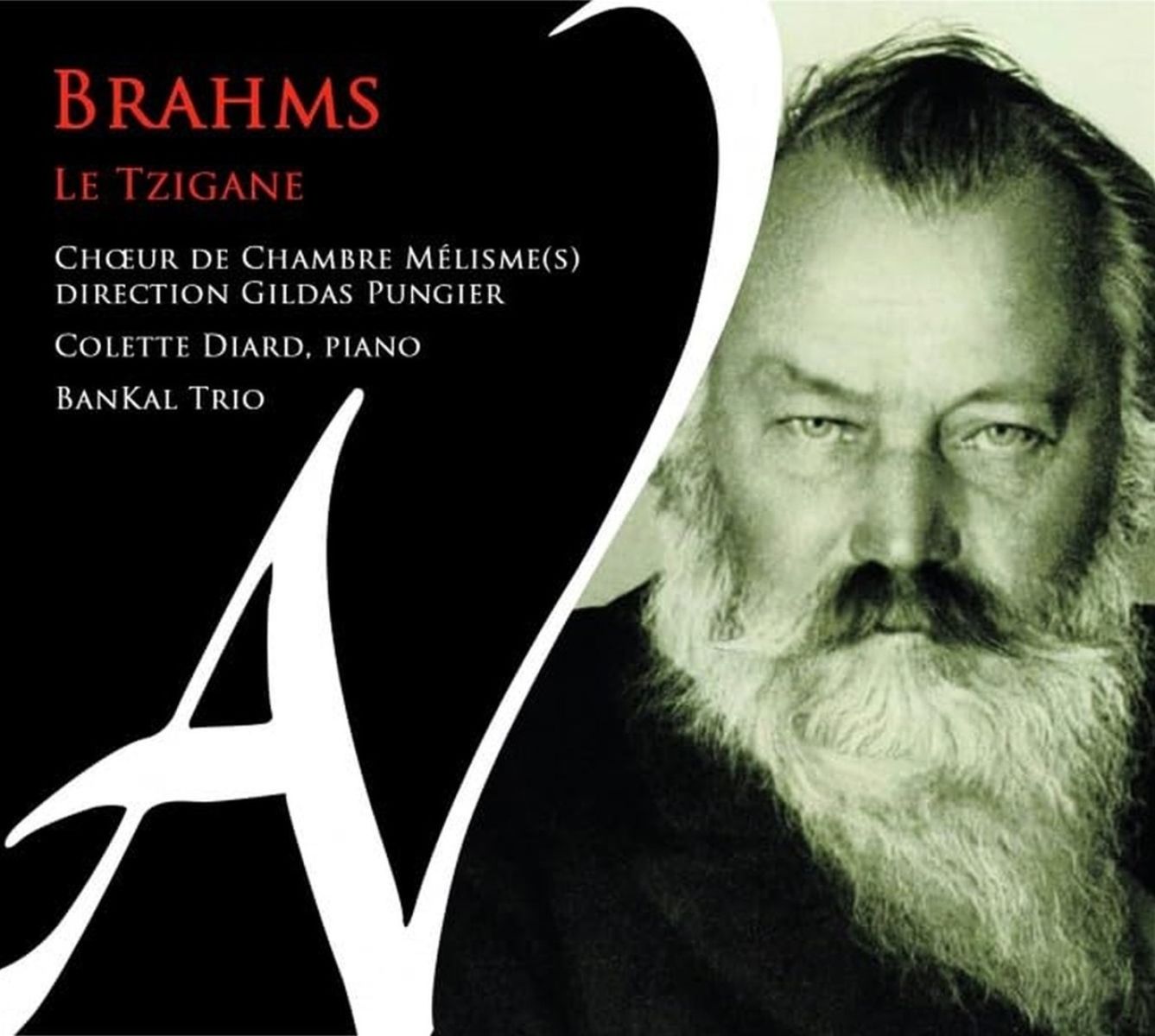 Afbeelding van Colett Diard, Choeur De Chambre Melisme(s) - Brahms: Le Tzigane