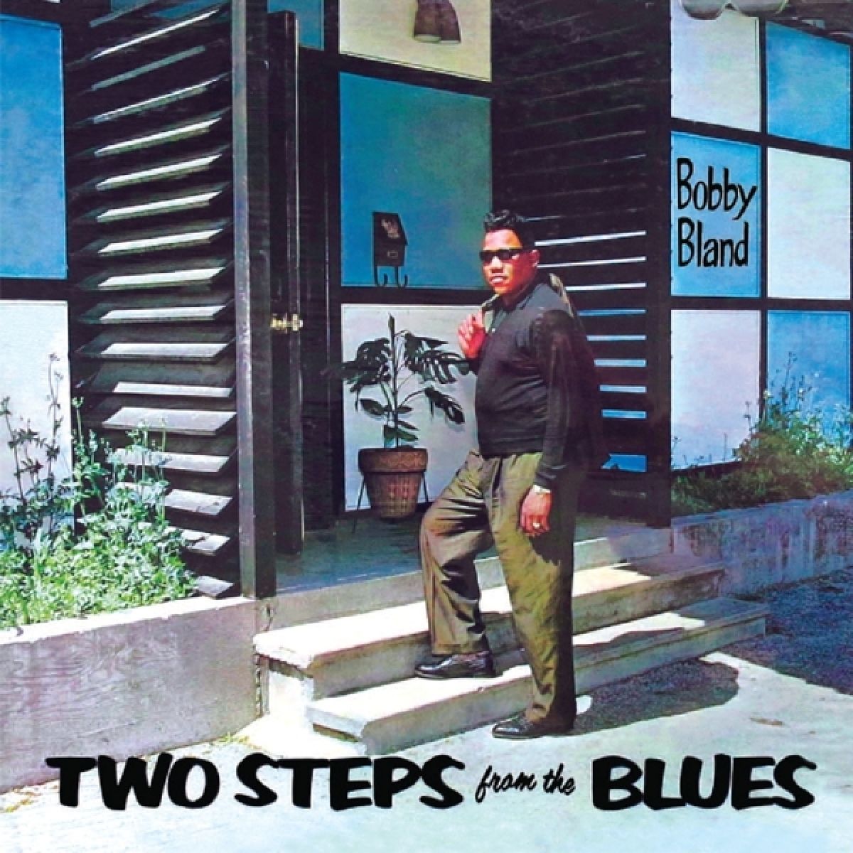 Afbeelding van Two Steps From The Blues