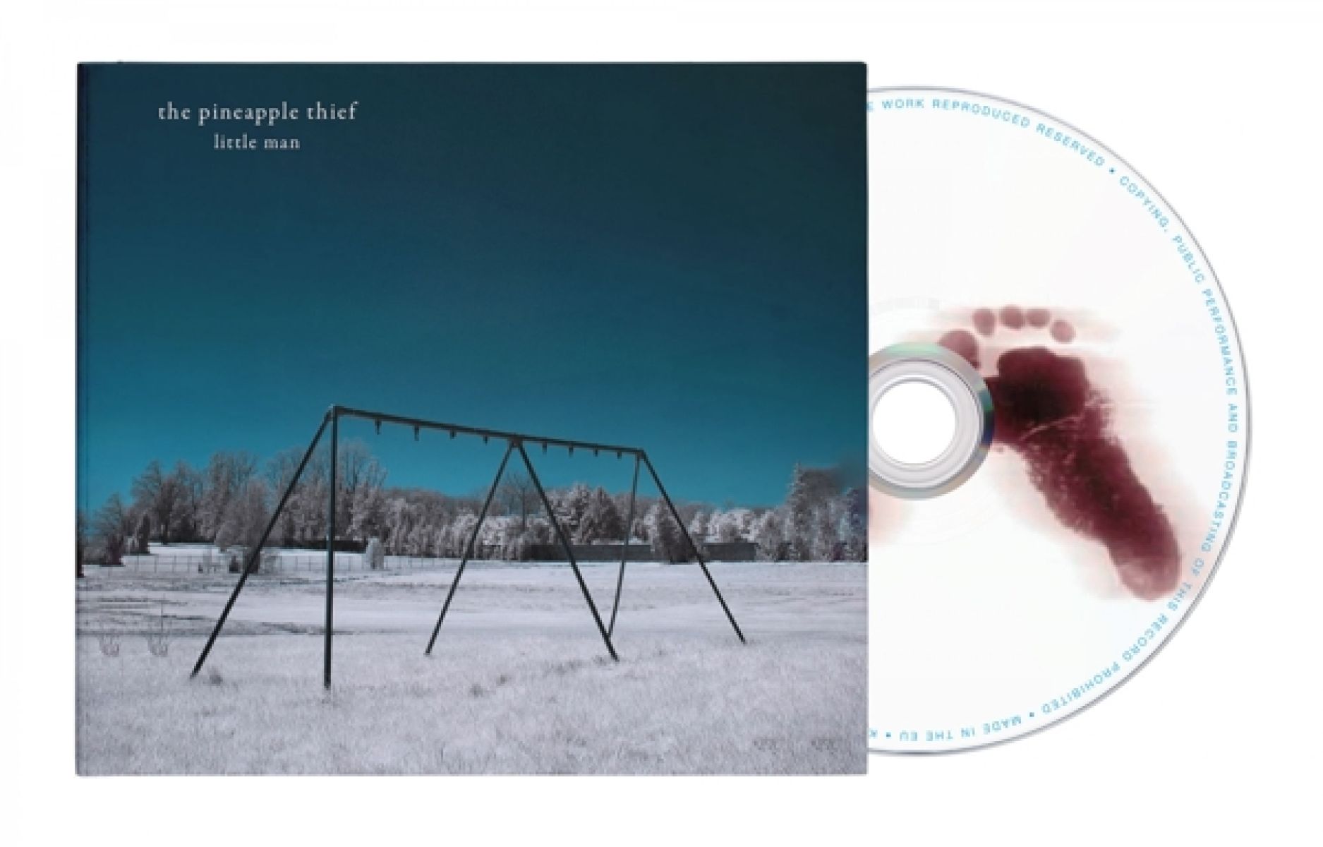Afbeelding van Pineapple Thief - Little Man