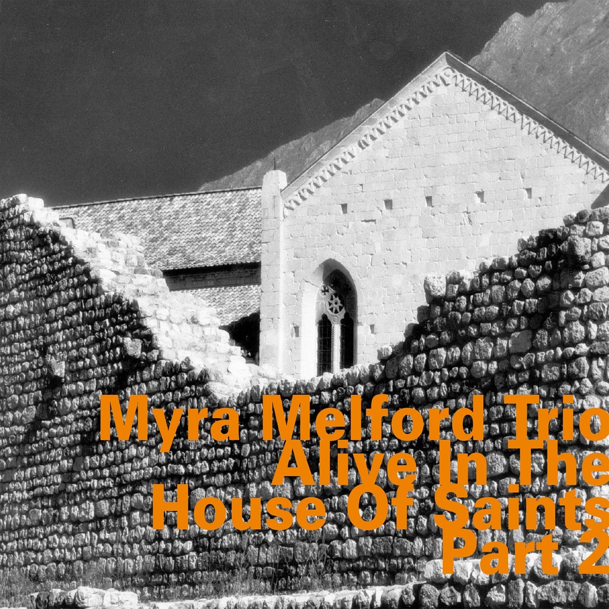 Afbeelding van Myra Melford Trio, Lindsey Horner, Reggie Nicholson - Alive In The House Of Saints Part 2