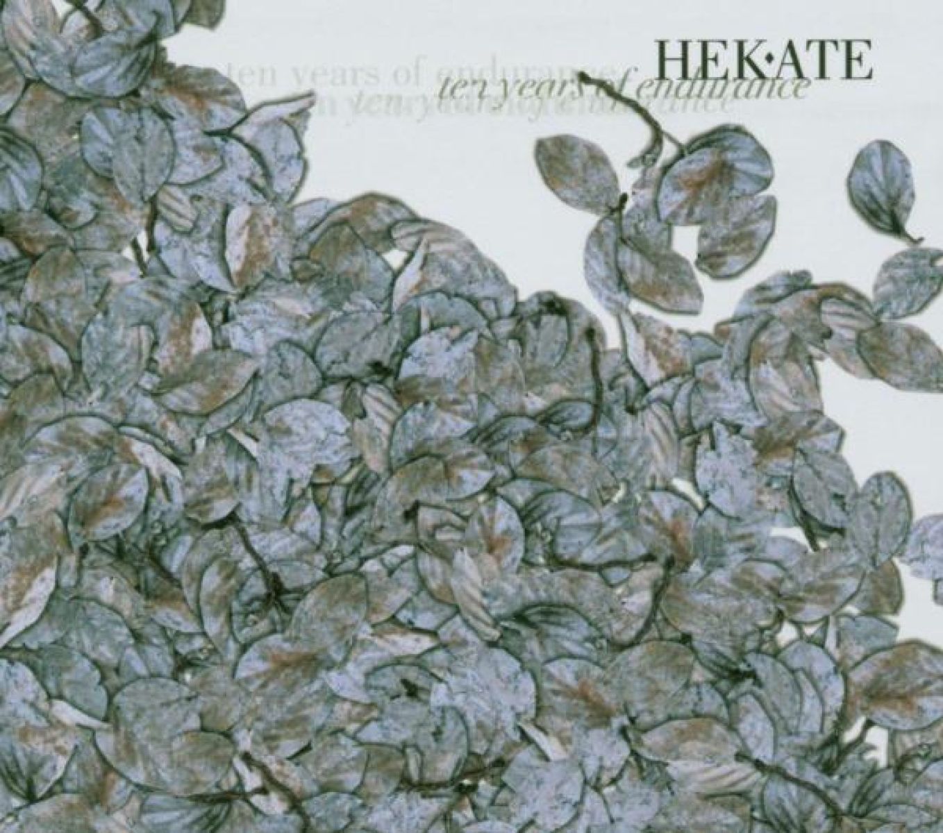 Afbeelding van Hekate - Ten Years Of Endurance