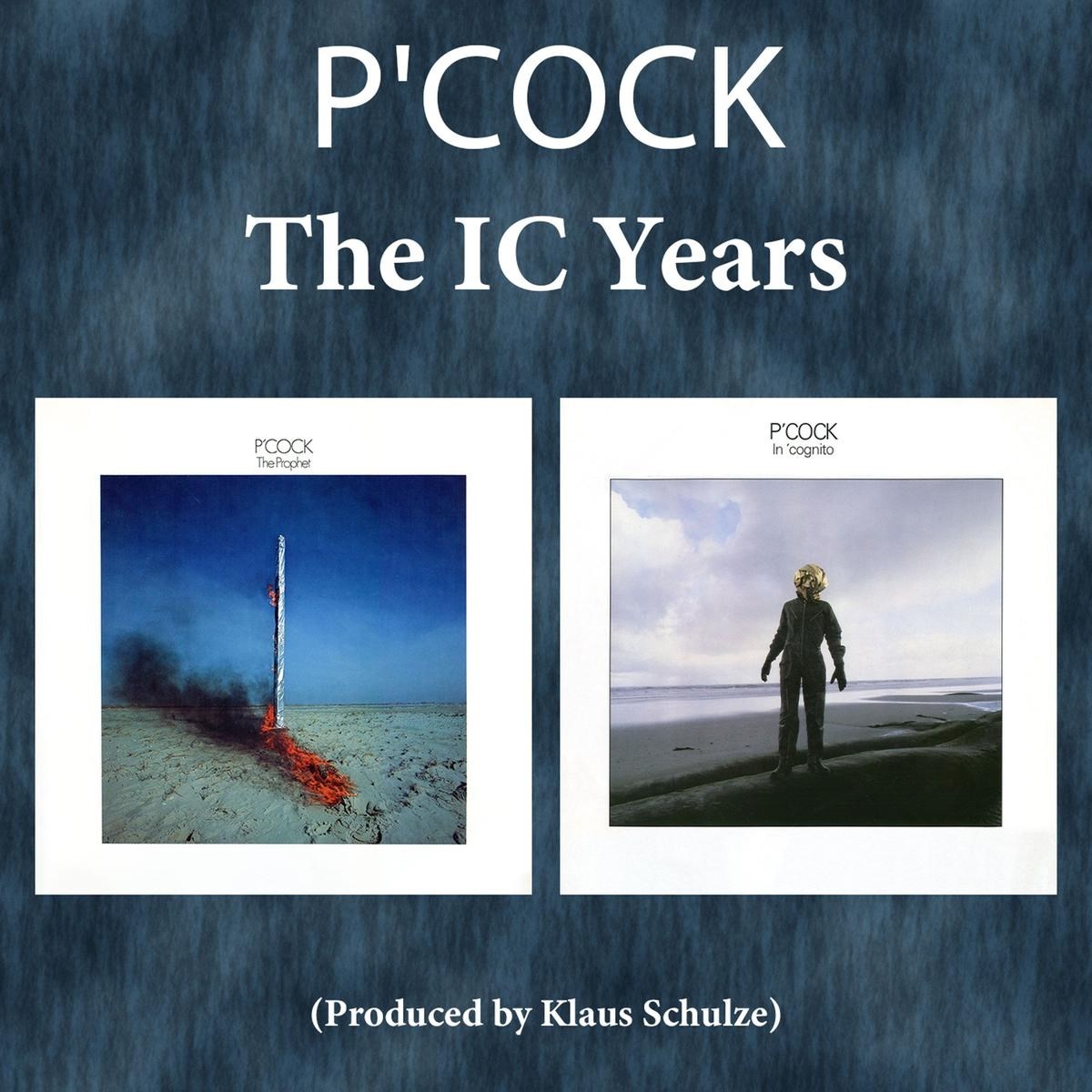 Afbeelding van Ic Years, The: The Prophet & In 'cognito'