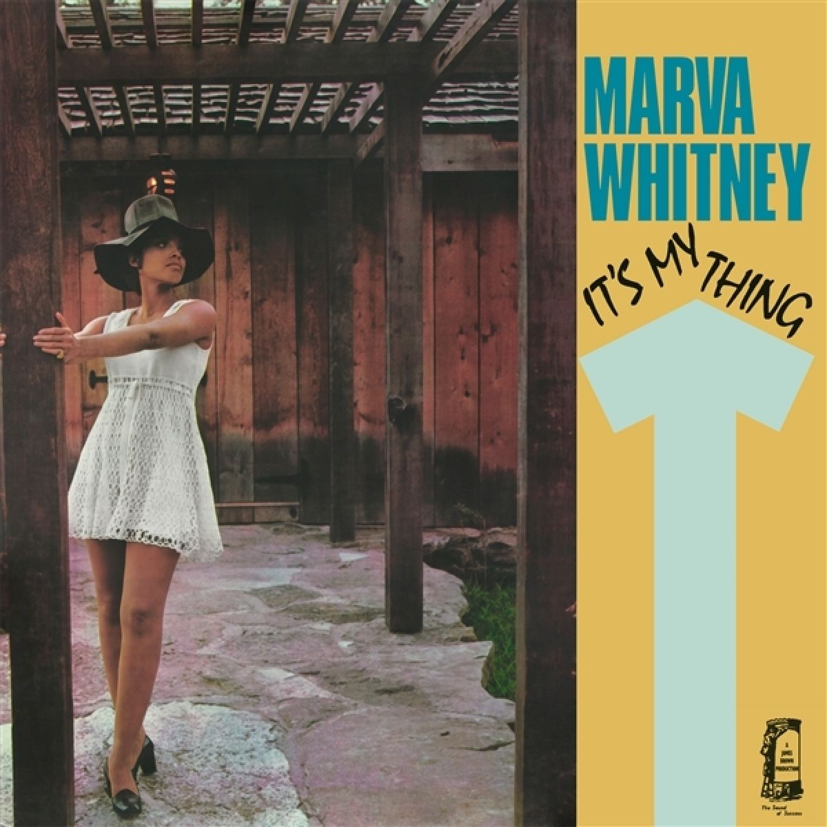 Afbeelding van Marva Whitney - It's My Thing