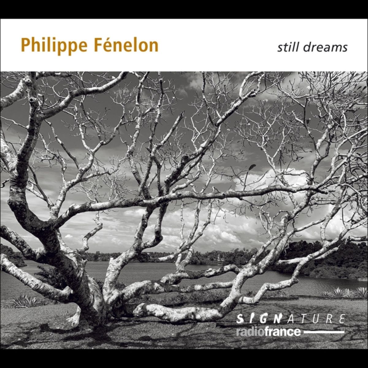 Afbeelding van Quatuor Diotima - Philippe Fénelon: Still Dreams