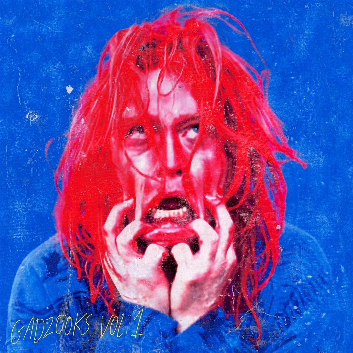 Afbeelding van Caleb Landry Jones - Gadzooks Vol.1