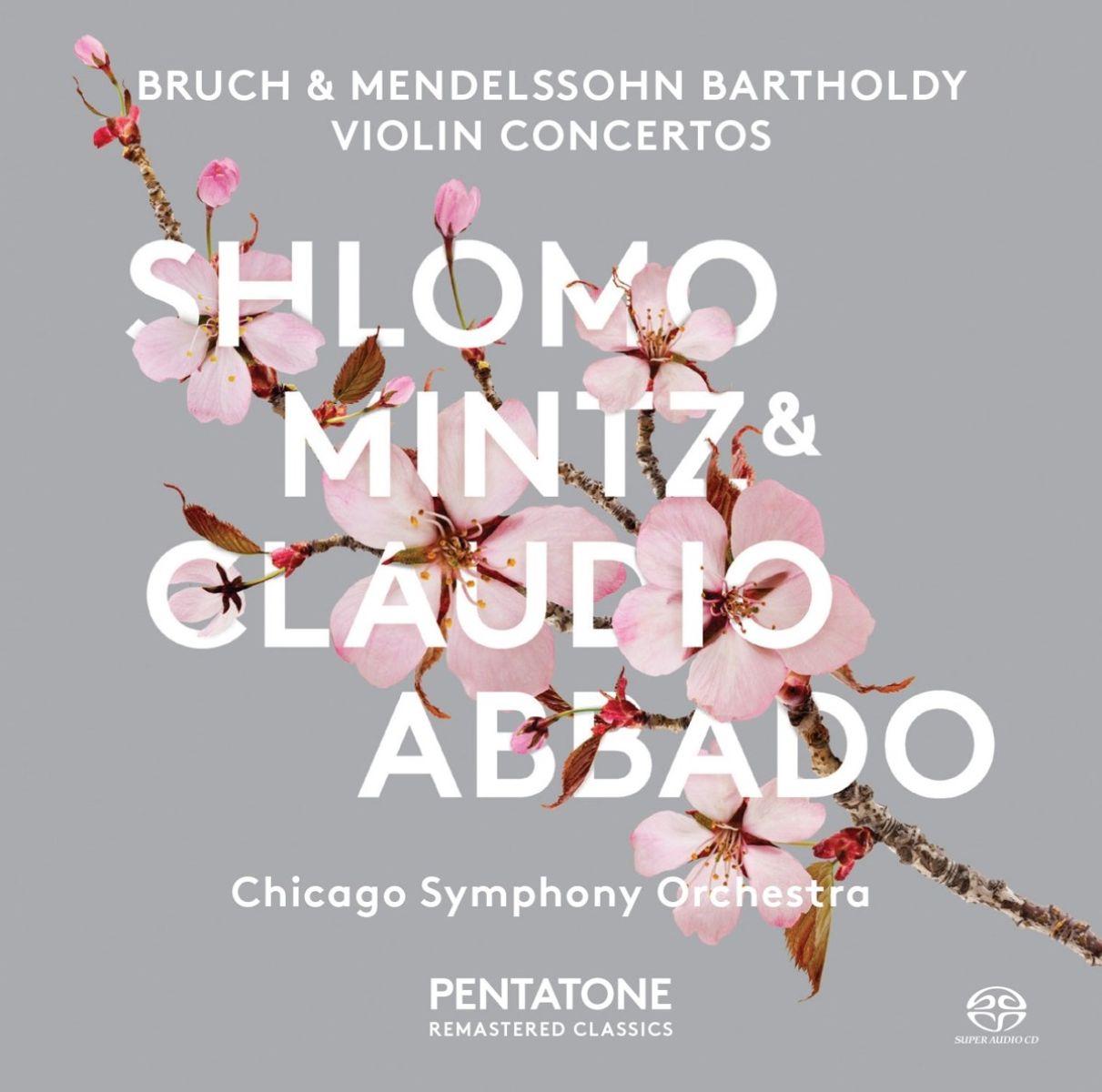 Afbeelding van Claudio Abbado, Shlomo Mintz - Bruch & Mendelssohn-Bartholdy: Violin Concertos