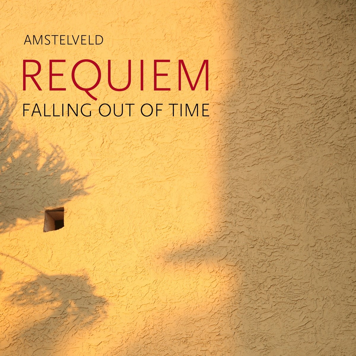 Afbeelding van Requiem: Falling Out Of Time
