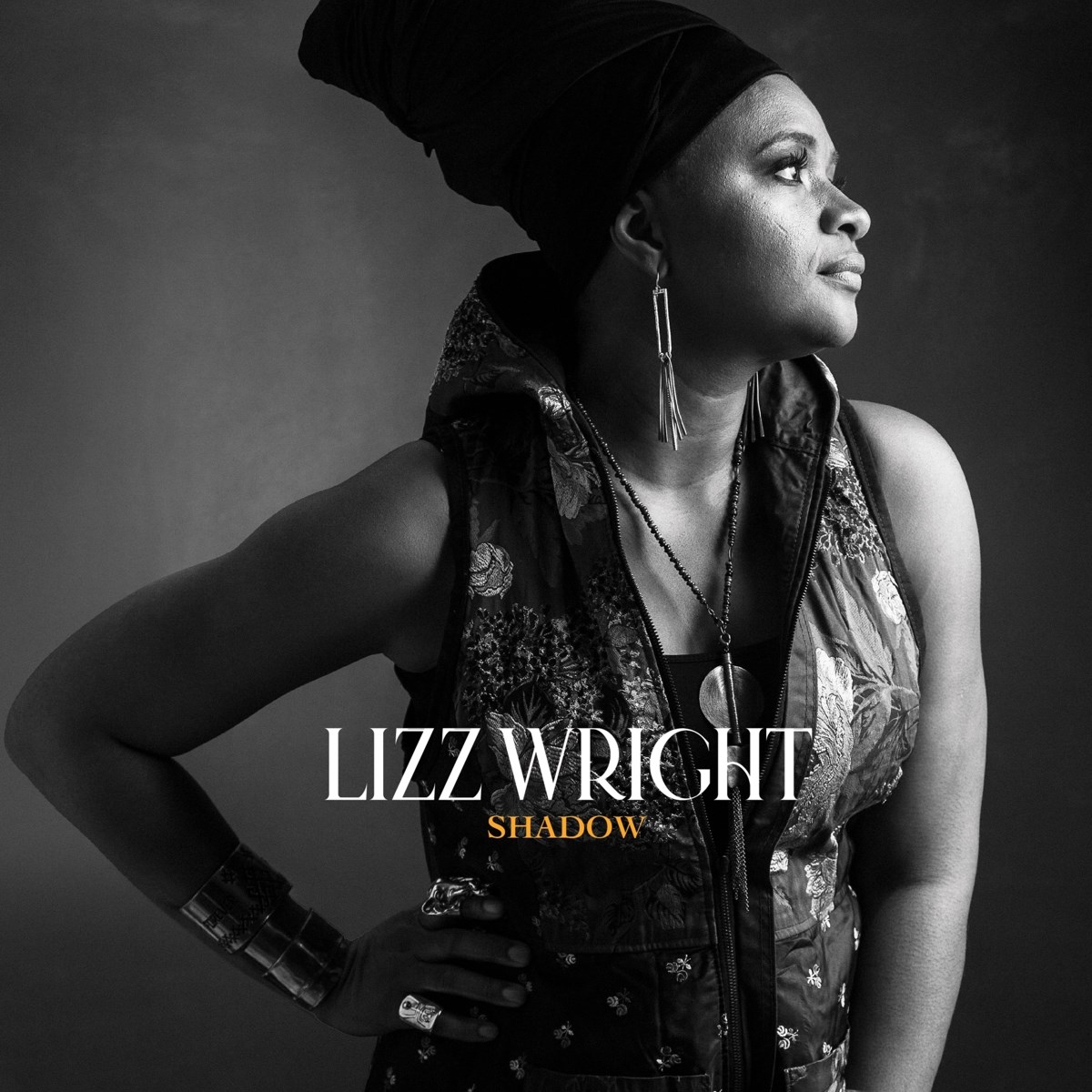 Afbeelding van Lizz Wright - Shadow