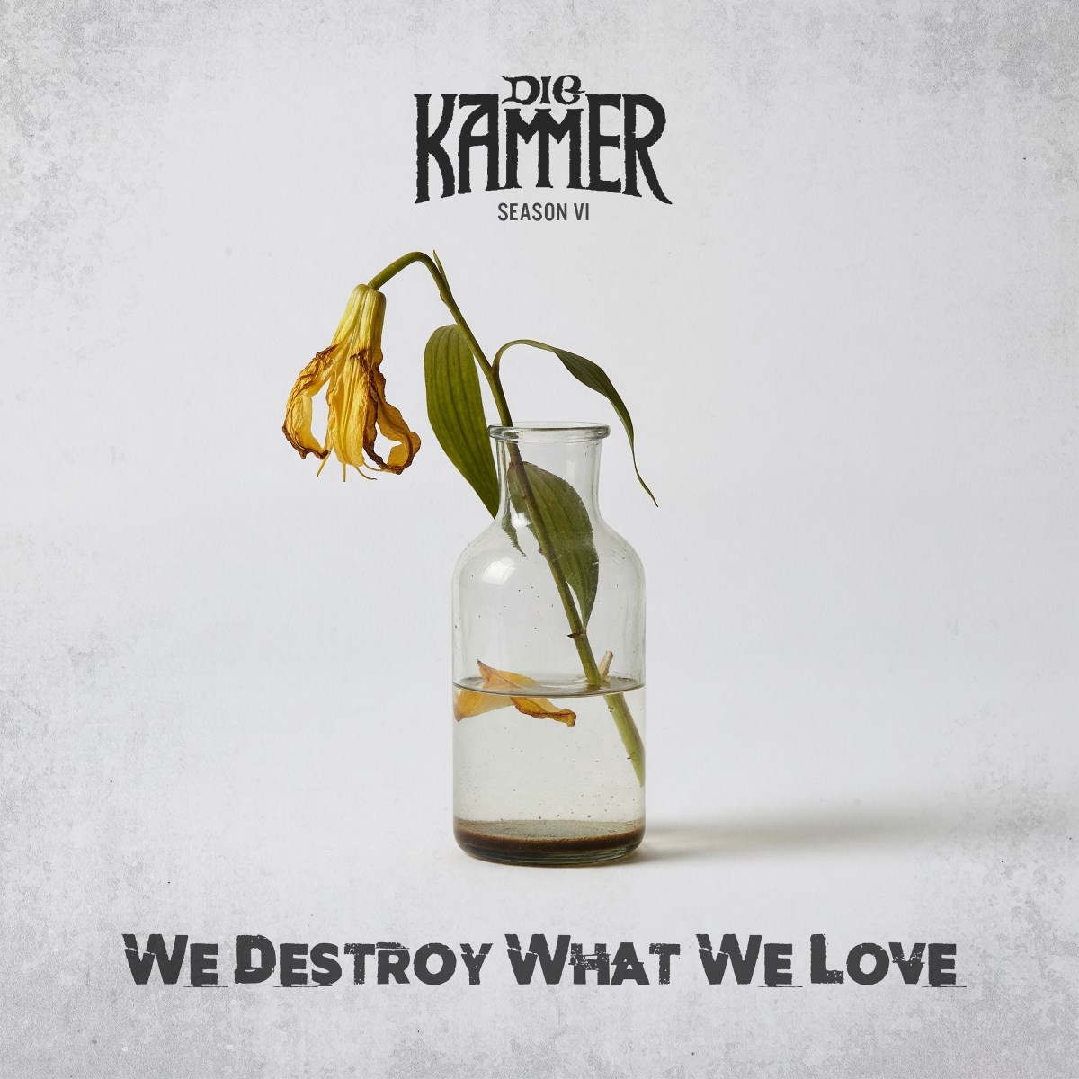 Afbeelding van Die Kammer - Season VI: We Destroy What We Love