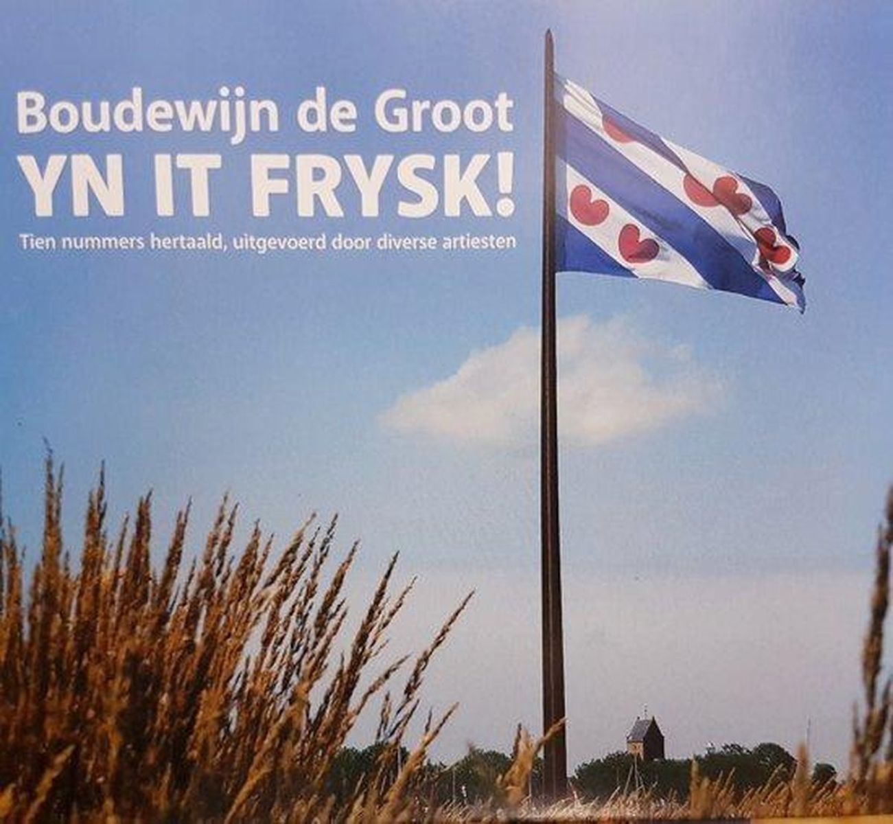 Various Artists - Yn It Frysk! Boudewijn De Groot