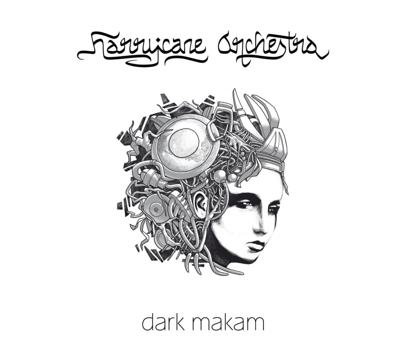 Afbeelding van Harrycane Orchestra - Dark Makam