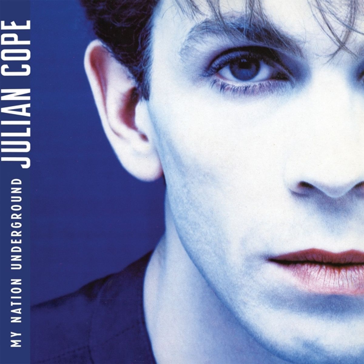 Afbeelding van Julian Cope - My Nation Underground