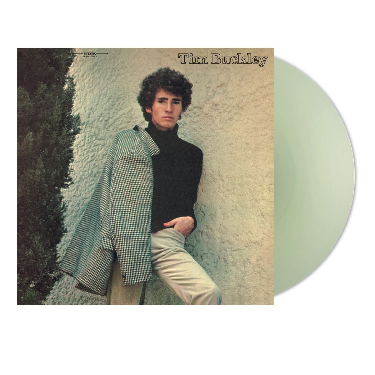 Afbeelding van Tim Buckley