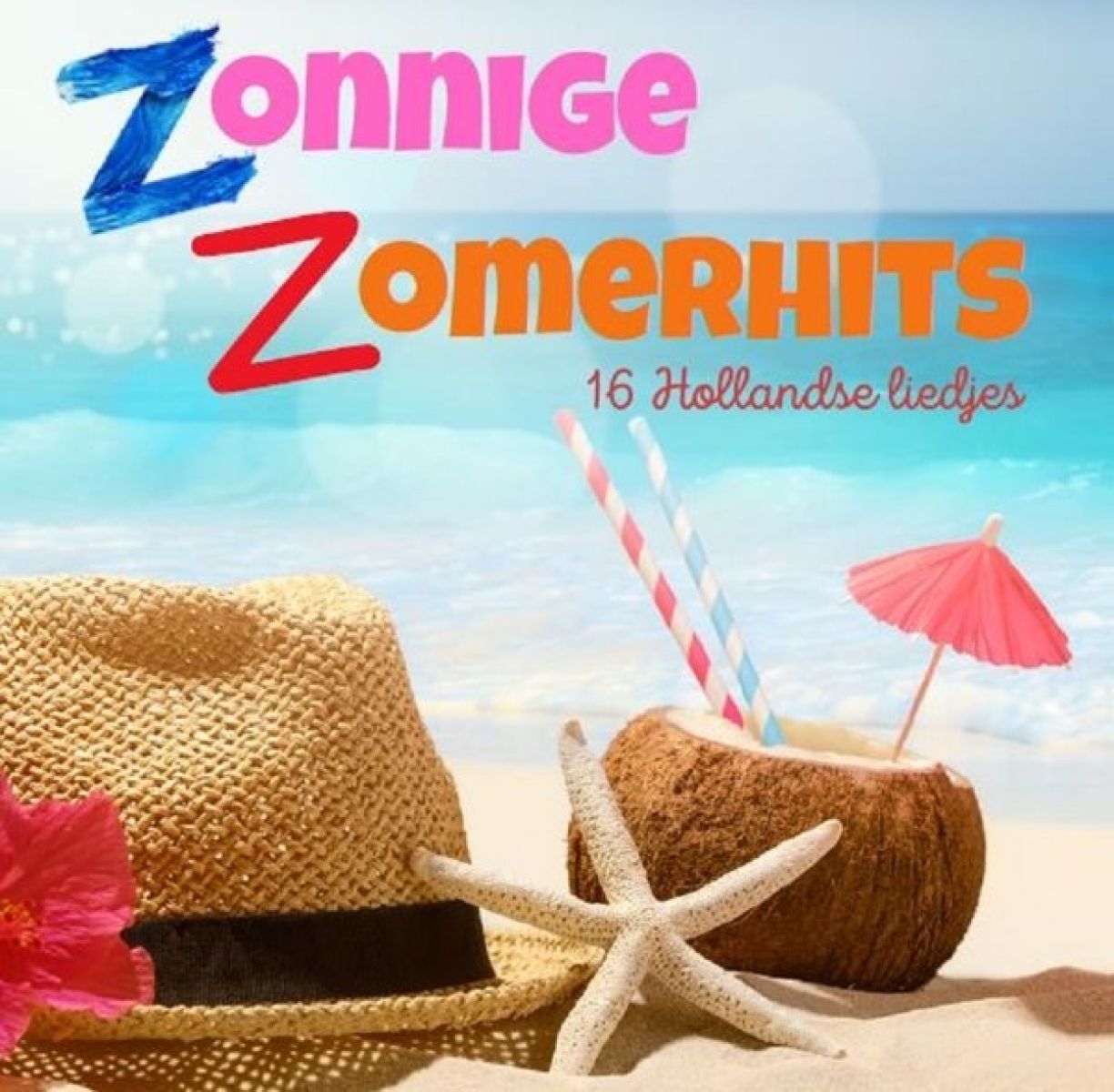 Afbeelding van Various Artists - Zonnige Zomerhits