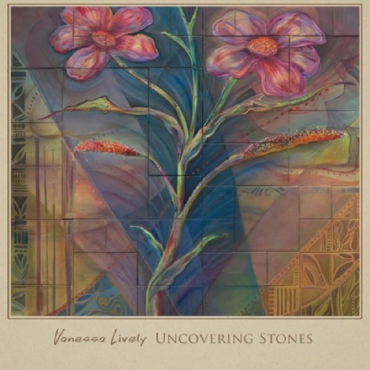 Afbeelding van Vanessa Lively - Uncovering Stones