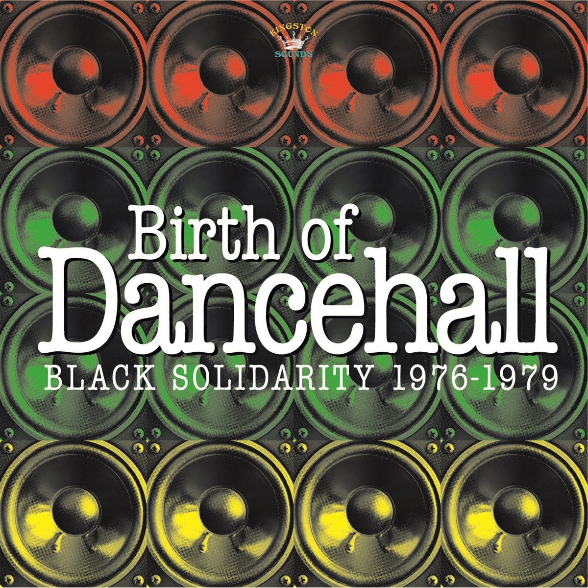 Afbeelding van Various Artists - Birth Of Dancehall (Black Solidarity 1976-1979)