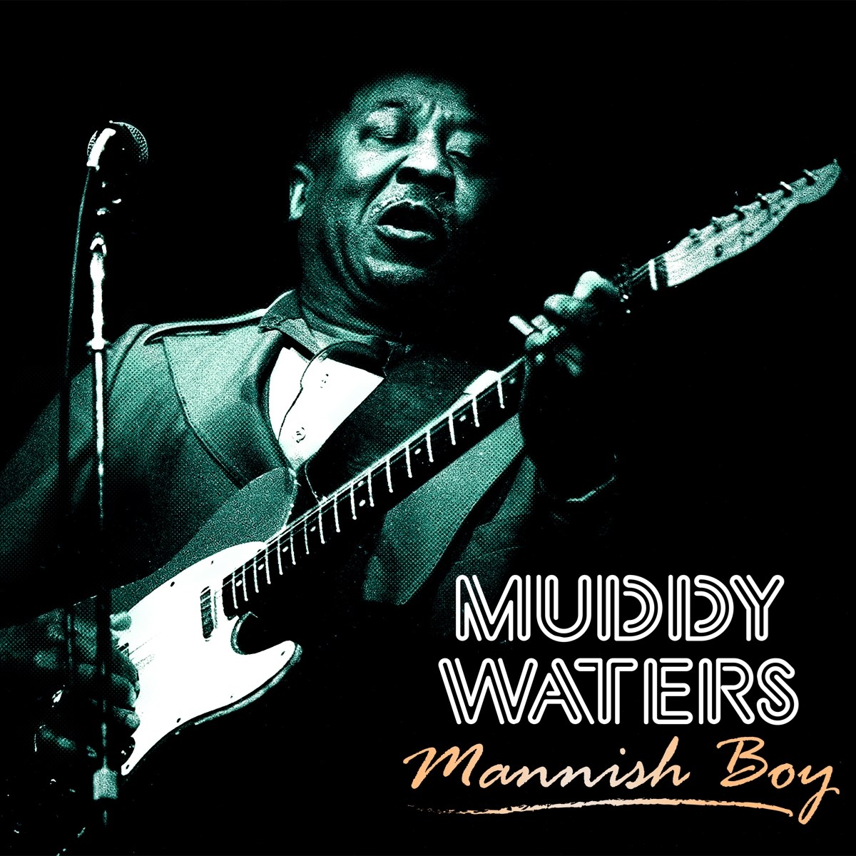 Afbeelding van Muddy Waters - Mannish Boy