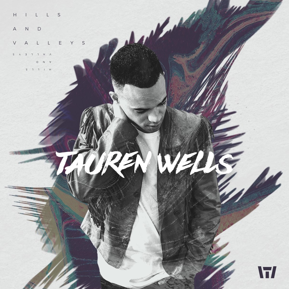 Afbeelding van Tauren Wells - Hills And Valleys
