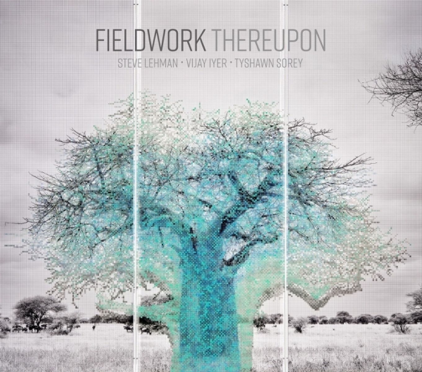 Afbeelding van Fieldwork Feat. Vijay Iyer & Steve - Thereupon