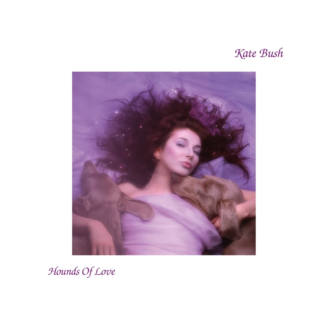 Afbeelding van Kate Bush - Hounds Of Love