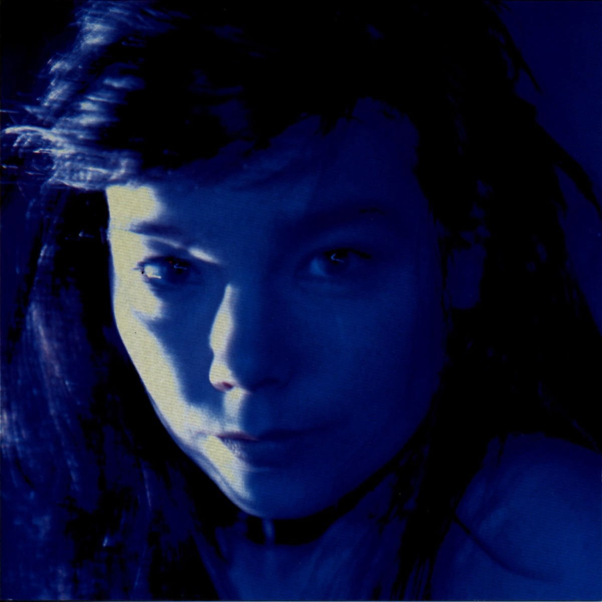 Afbeelding van Björk - Telegram