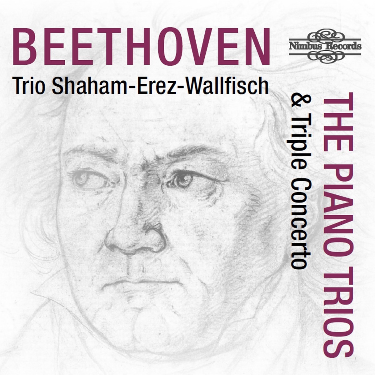 Trio Shaham-Erez-Wallfisch - Beethoven: The Piano Trios & Triple Concerto