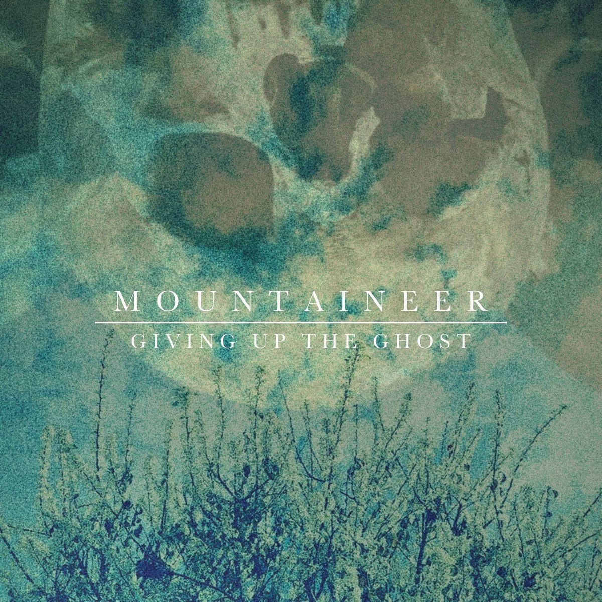Afbeelding van Mountaineer - Giving Up The Ghost