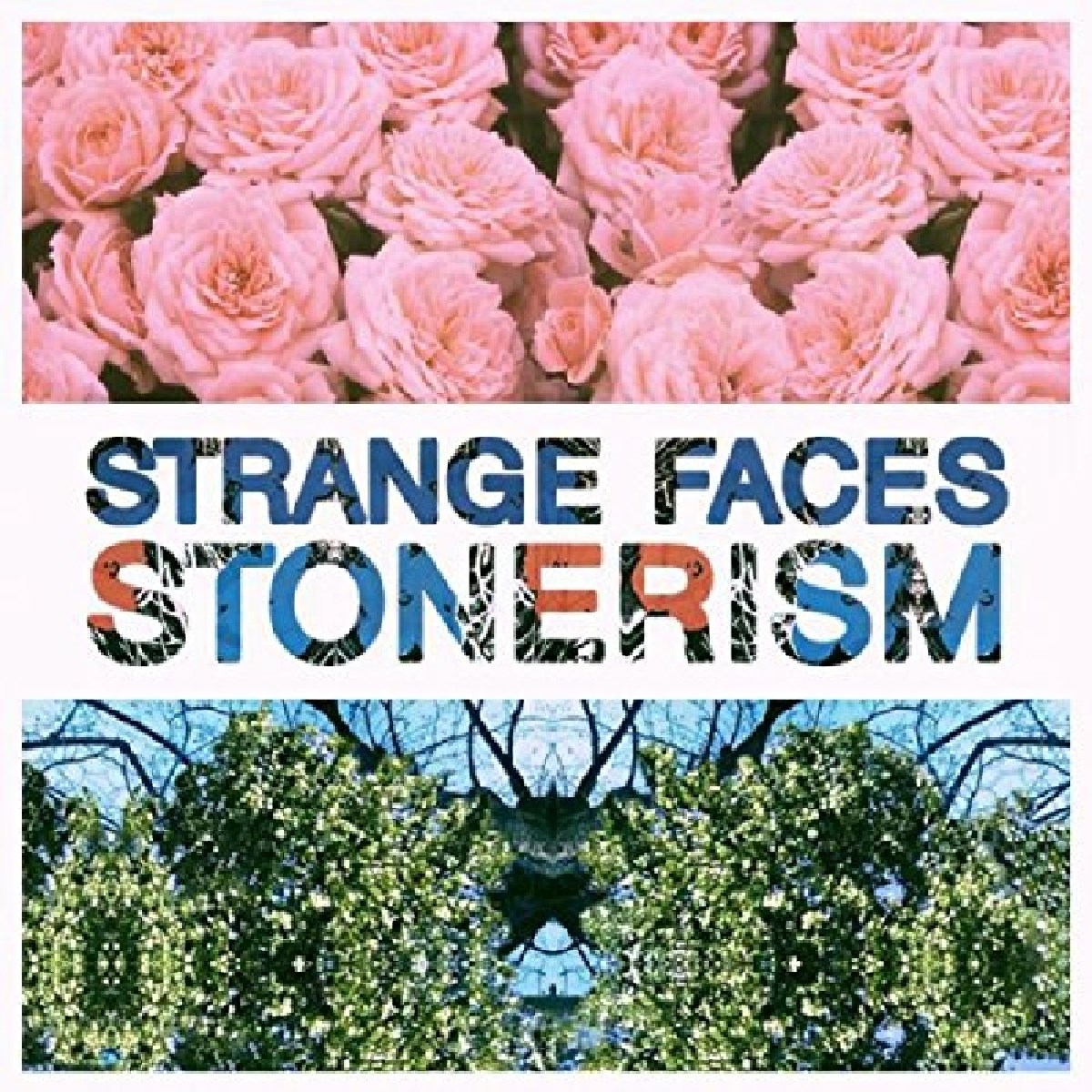 Afbeelding van Strange Faces - Stonerism