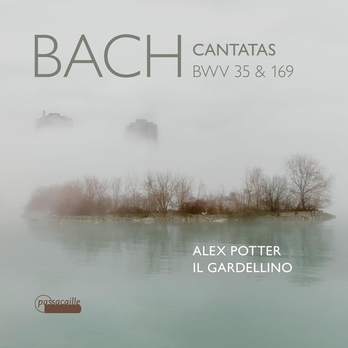 Afbeelding van Alex Potter, Il Gardellino Orchestra, Leo van Doeselaar - J.S. Bach: Cantatas Bwv 35 & 169