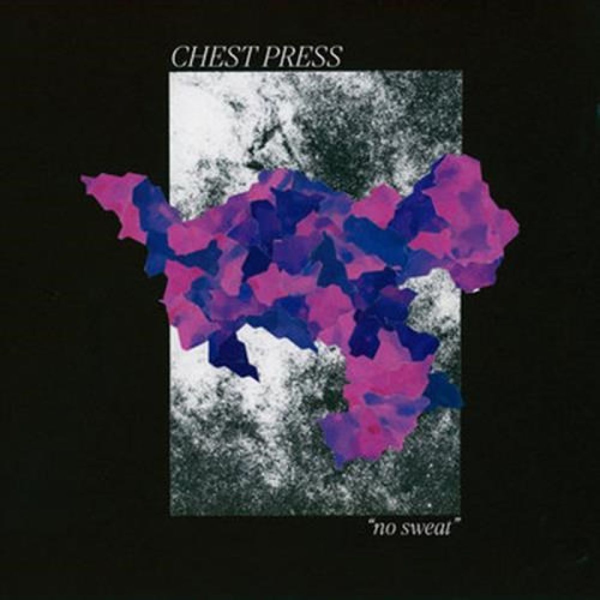 Chest Press - Vol. 2 No Sweat