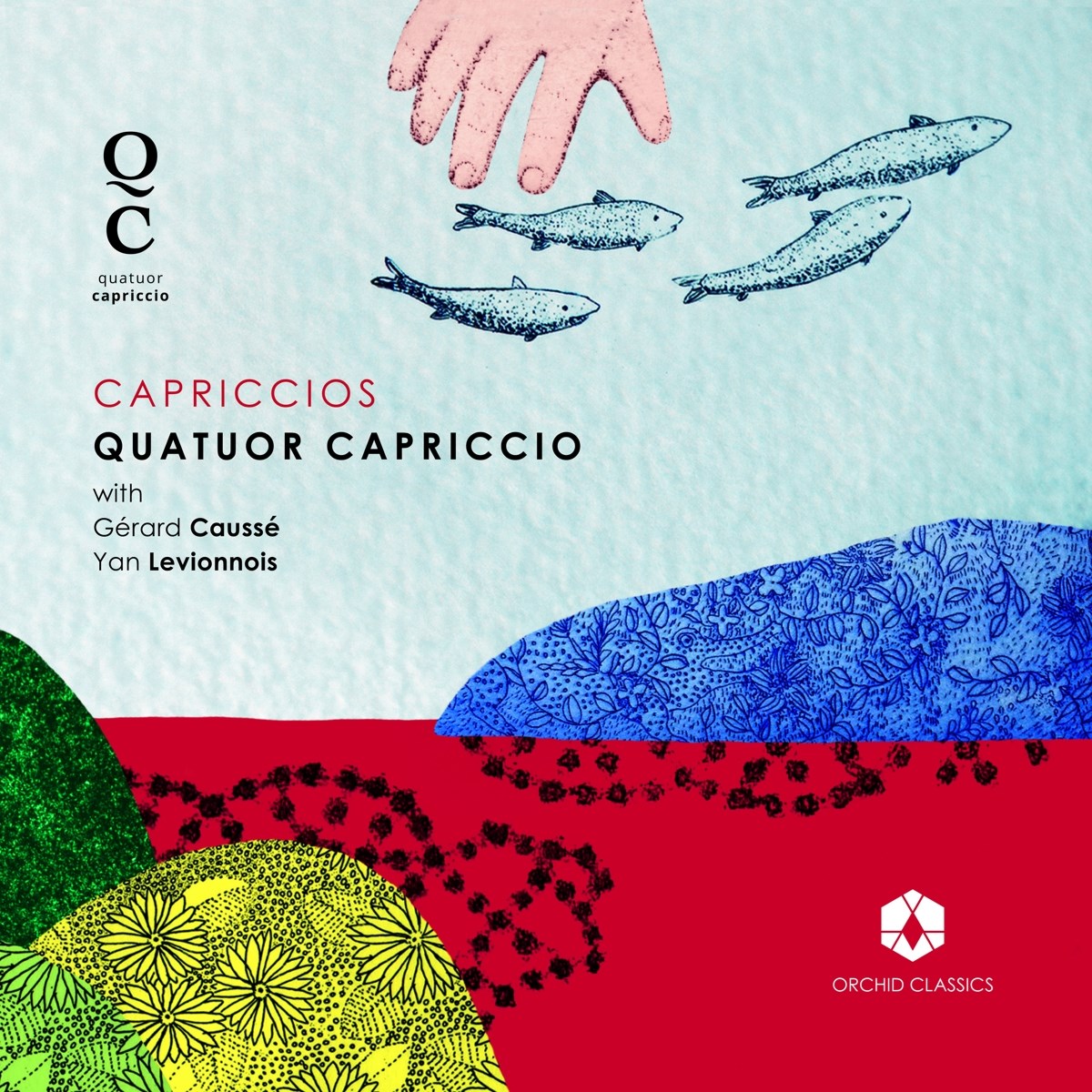 Afbeelding van Quatuor Capriccio, Gérard Caussé & Yan Levionnois - Capriccios