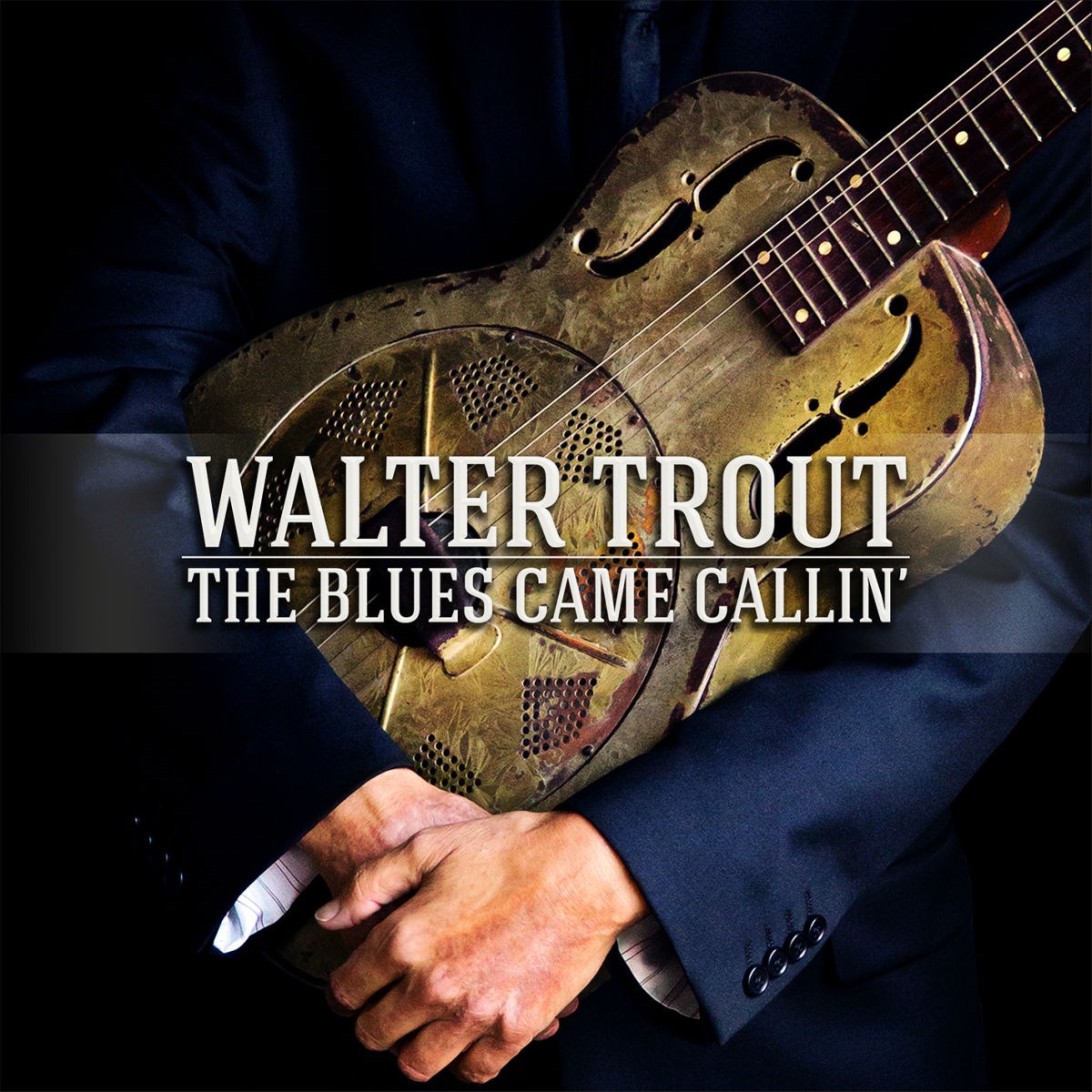 Afbeelding van Blues Came Callin'