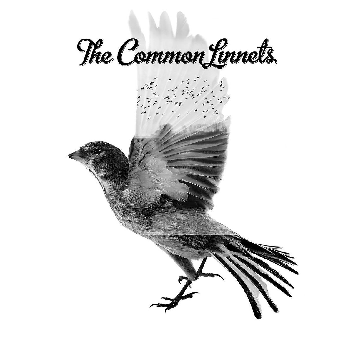 Afbeelding van The Common Linnets - The Common Linnets