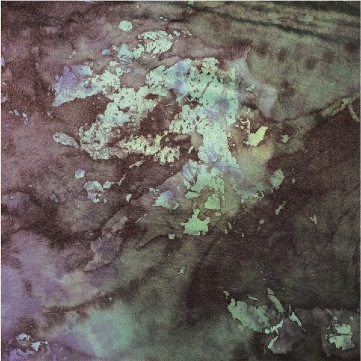 Afbeelding van Alien Mustangs - Shadows/Hypnic Trip