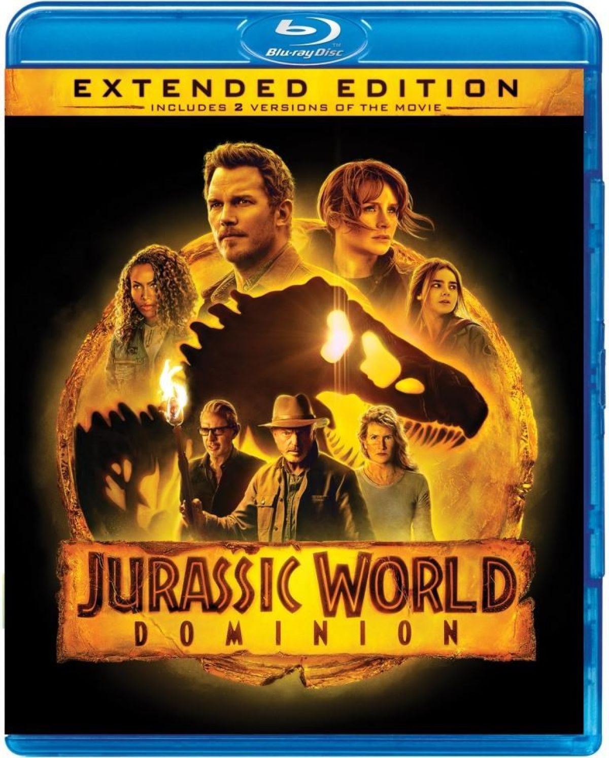 Afbeelding van Jurassic World - Dominion