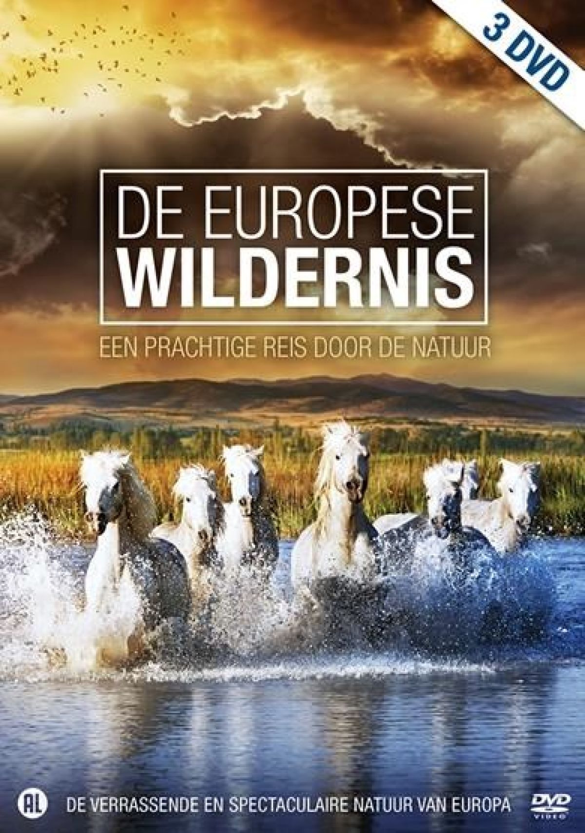 Afbeelding van Europese wildernis